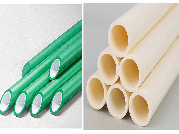 �����ܲ�